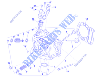 CILINDERKOP   KLEPPEN voor PIAGGIO Beverly 300 4T/4V HPE Euro 5 ABS 2021